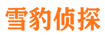 永胜市私家侦探